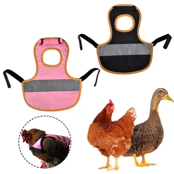 Пиле седло за пилета Престилка за домашни птици, с еластична лента, за да проверите за грижи за домашни птици стандартен размер