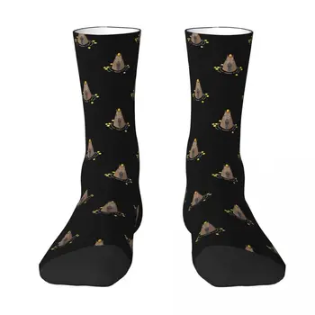 Черни чорапи за баня Капибара Морско свинче Мъжки Дамски Чорапи от полиестер в стил хип-хоп